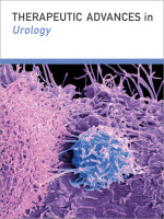 Therapeutic Advances in Urology